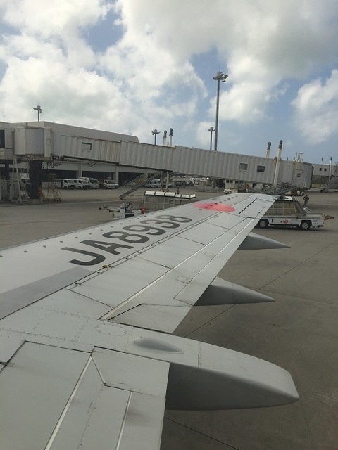 JTA機内.jpg
